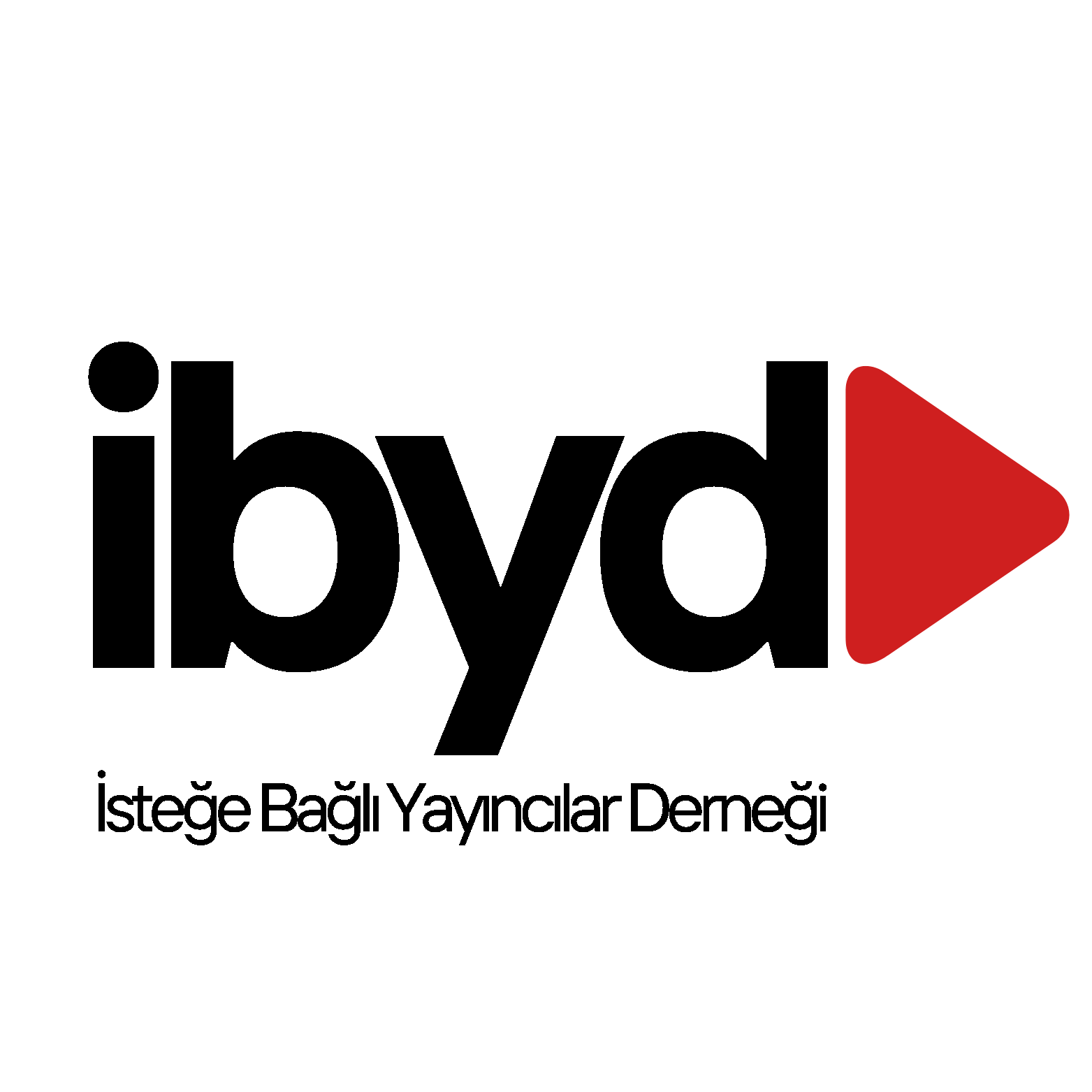 ibyd logo