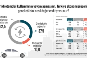 WhatsApp Image 2026-02-11 at 13.50.14