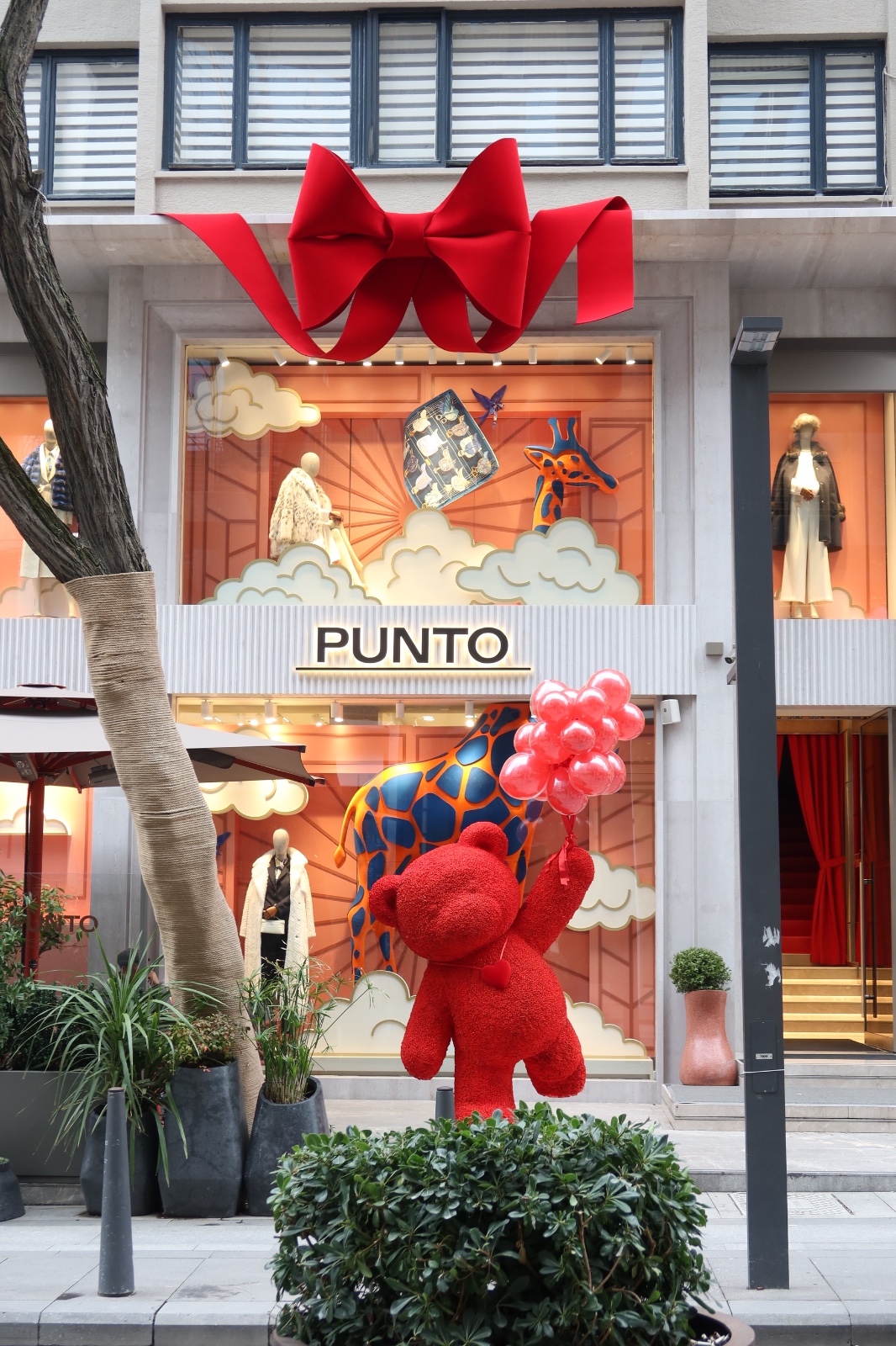 WhatsApp Image 2026-02-12 at 15.49.37