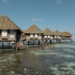 WhatsApp Image 2026-04-20 at 12.08.01