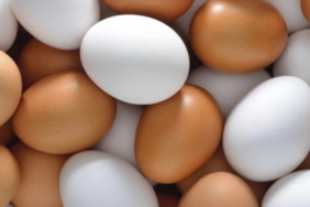 Yumurtanın Besin Değerini Koruyan En Doğru Pişirme Yöntemleri Belirlendi